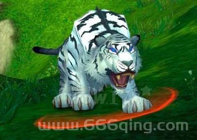 新手必看：轻松找到恐惧废土的最佳路线