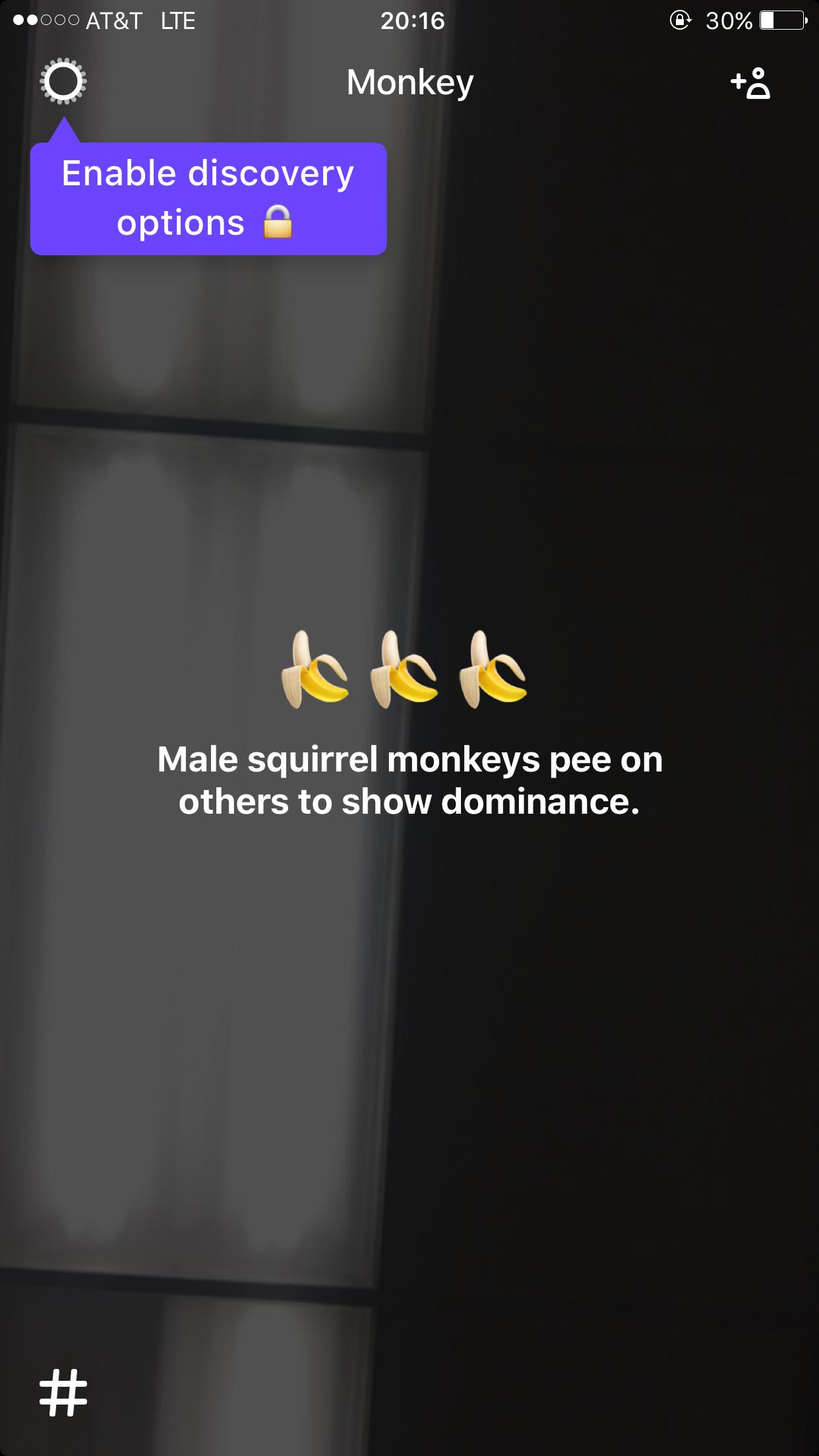 Monkey社交应用_陌生人视频聊天软件_00后社交软件