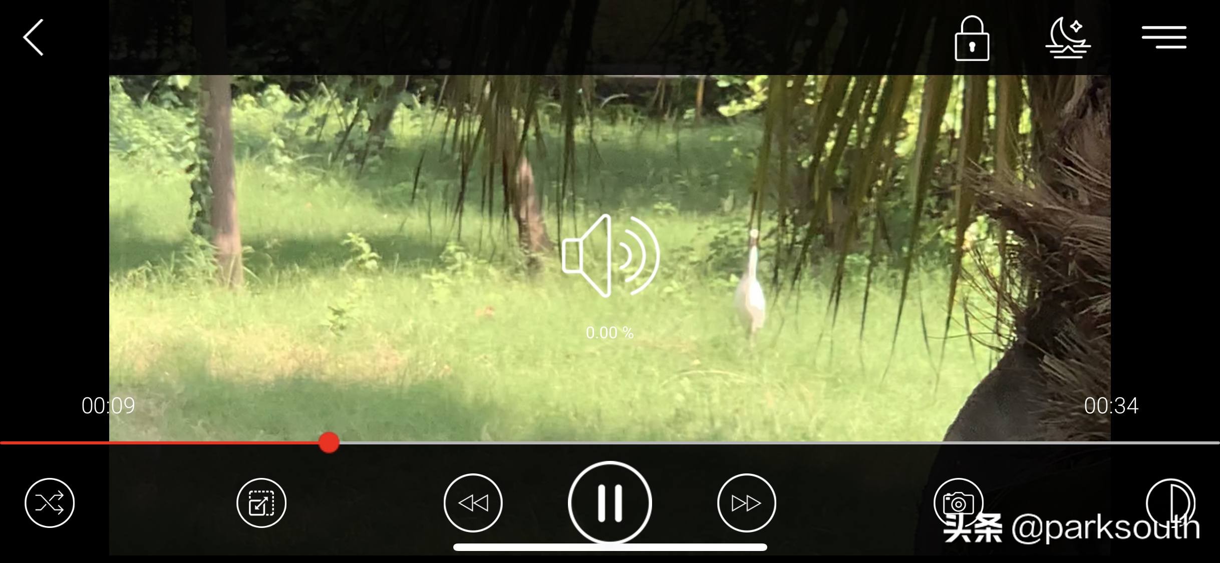 支持多种格式视频播放器_ipad能播放的视频格式_iPhone最佳视频播放器应用