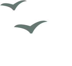 什么时候开通网上购彩_体彩四款游戏止售开奖时间延后_体彩2023年开奖信息发布渠道