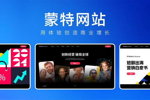 企业网站界面风格设计描述_网站建设公司排名2025_蒙特网站服务优势