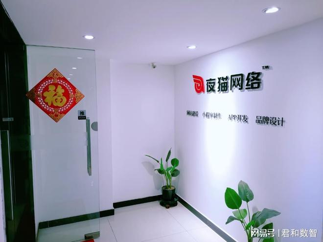 国内十大网站建设公司_网站制作公司排名_企业网站界面风格设计描述