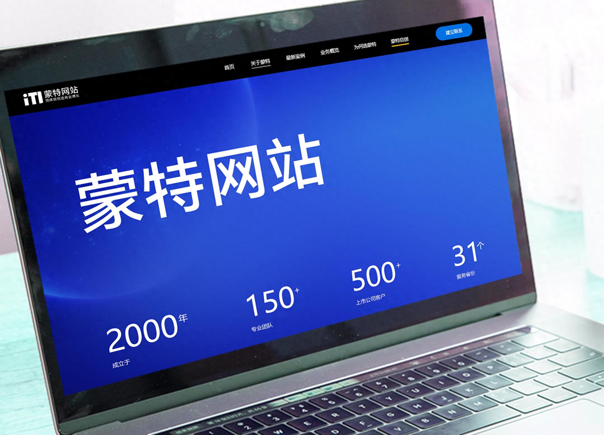 高端定制网站开发公司_蒙特网站服务优势_建网站公司哪个好