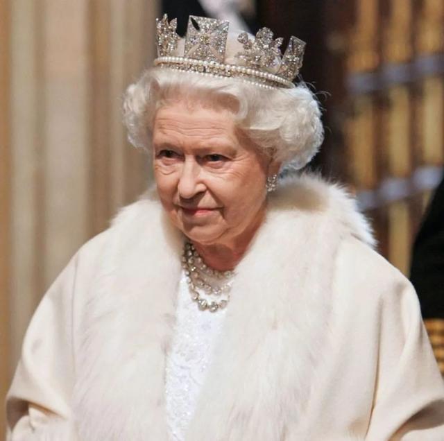 英国女王蜥蜴人，为何说英国皇室全是蜥蜴人（12年前搂着英女王触犯王室禁忌）