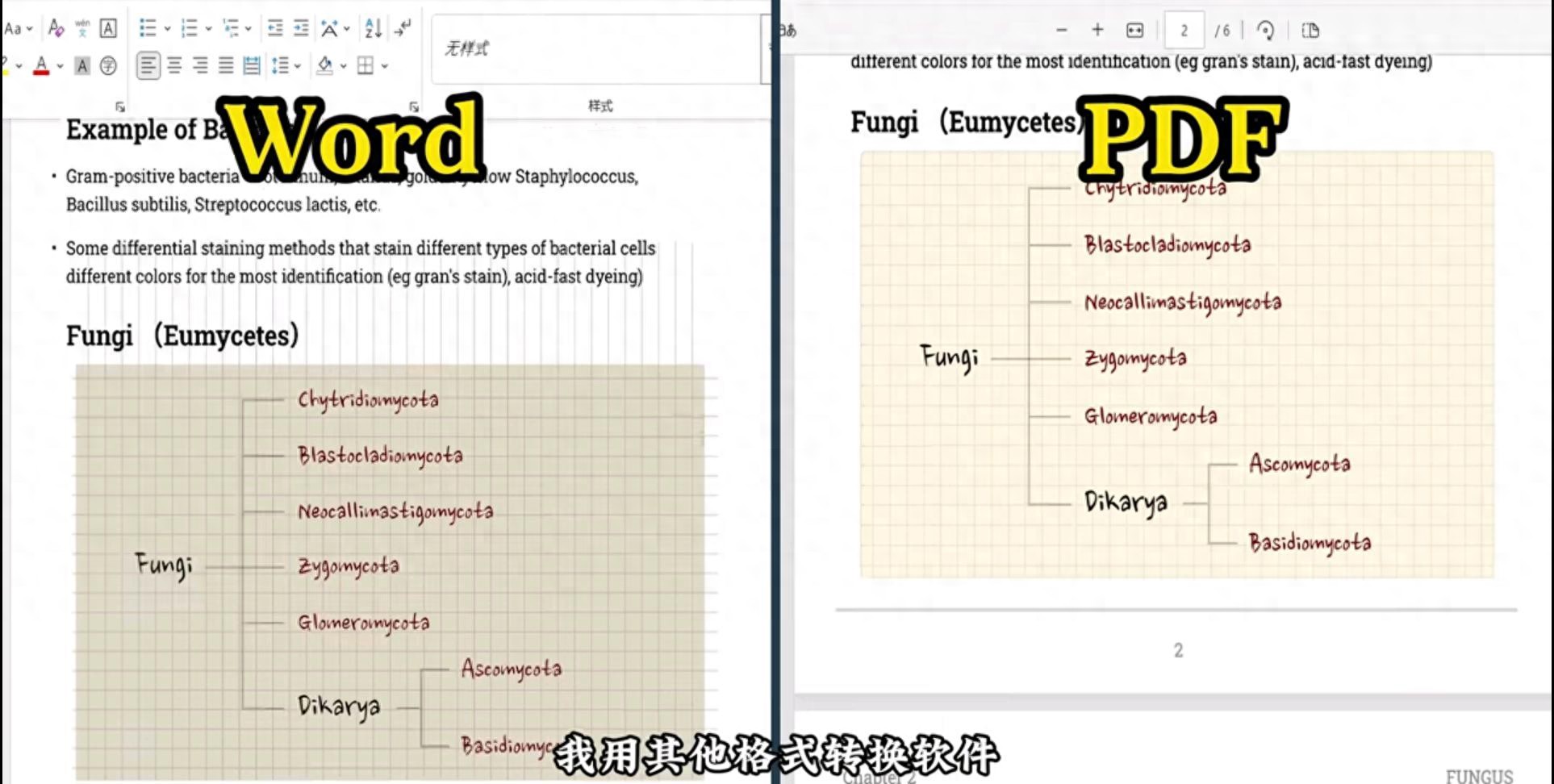 4款冷门黑科技软件,被低估的宝藏,真香到我不想公开!