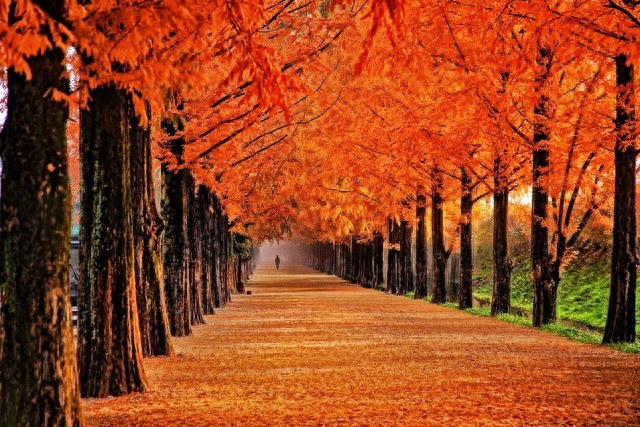 视频播放页面设计_新媒体运营避坑指南_职场PPT制作技巧