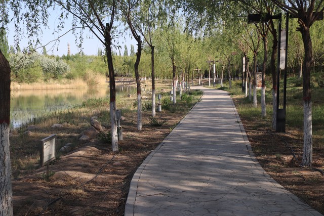 新媒体运营避坑指南_视频播放页面设计_职场PPT制作技巧