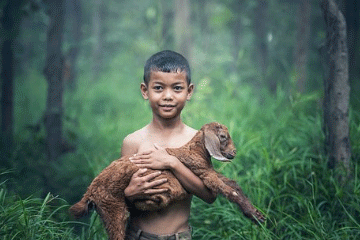 2024年测试名字的好坏