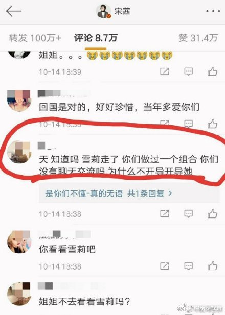 宋茜出道抵掉的中国人_雪莉练习生经历_雪莉父母离婚