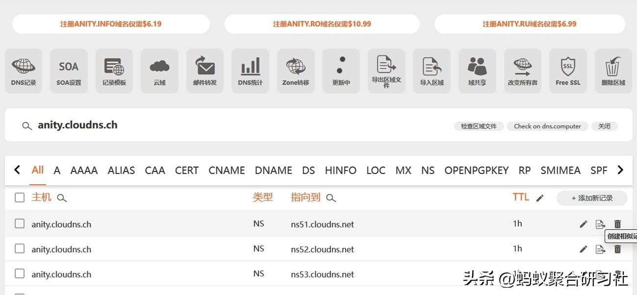 注册二级域名_ClouDNS免费DNS解析_二级域名无法添加ns记录