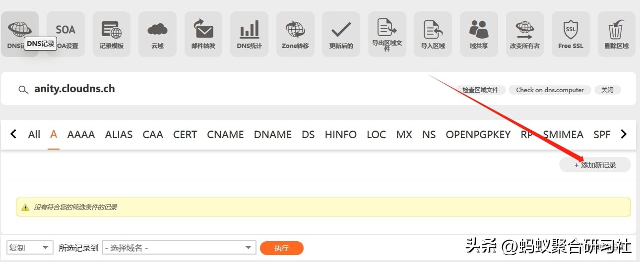 ClouDNS免费DNS解析_二级域名无法添加ns记录_注册二级域名