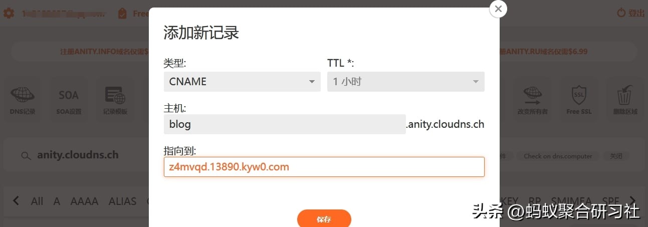 二级域名无法添加ns记录_注册二级域名_ClouDNS免费DNS解析