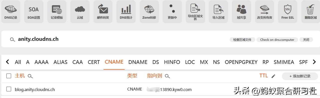 二级域名无法添加ns记录_ClouDNS免费DNS解析_注册二级域名
