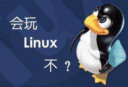 Linux标准读音_Linux发音_linux访问没有解析的网站