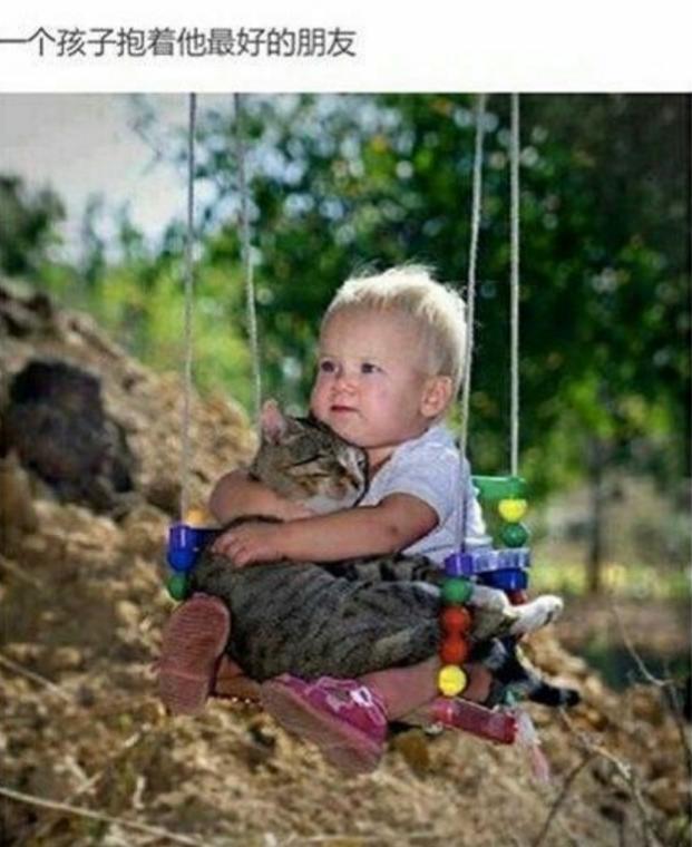 孩子家庭教育法则_狼性法则全书免费下载_培养孩子善良爱心