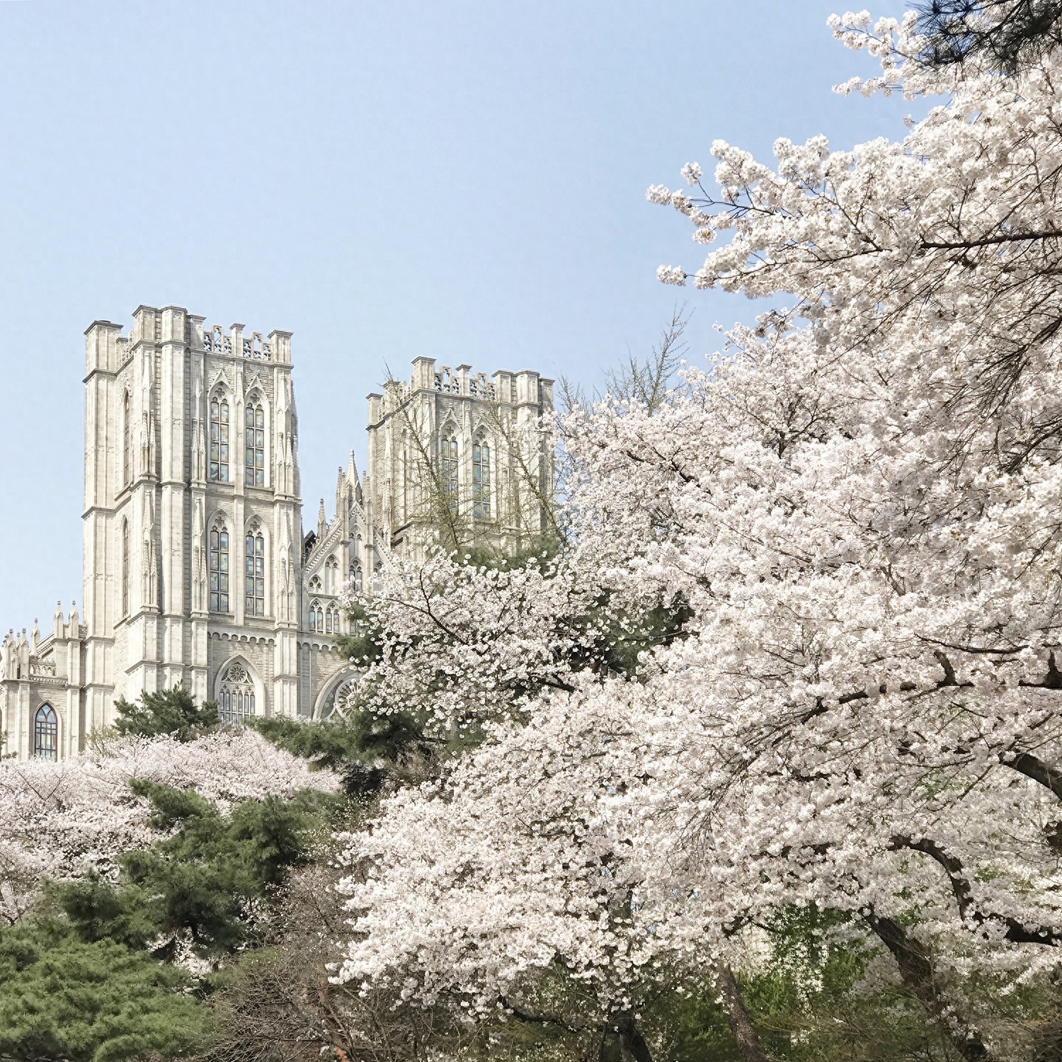 韩国各大音乐App比较_免费下载韩国音乐网站_韩国音乐平台推荐