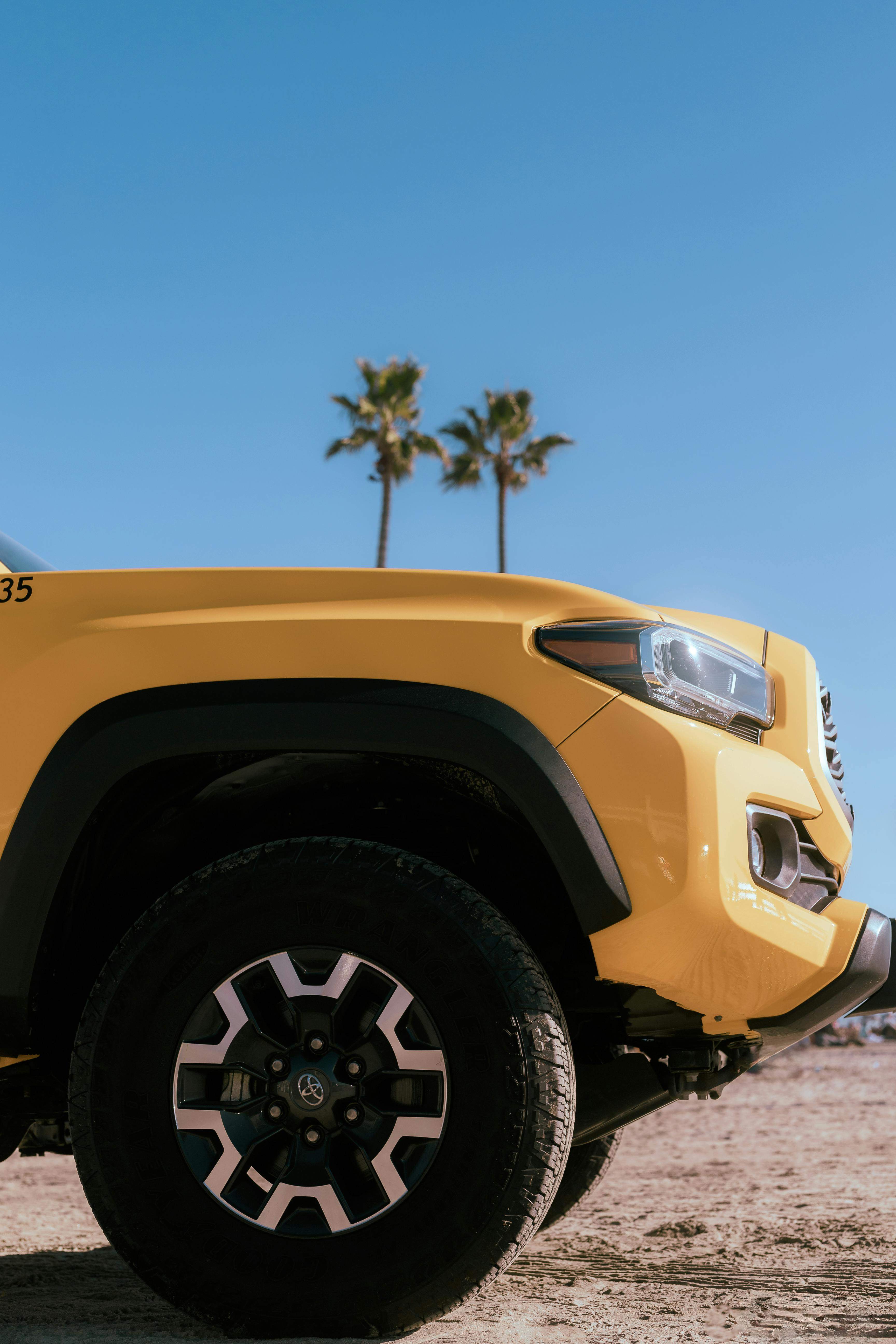 手机音乐播放器自动播放音乐_手机音乐播放器老自动播放_手机自动播放音乐是中毒了吗