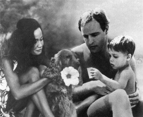 马龙·白兰度演教父时多大年纪_马龙·白兰度 两次奥斯卡最佳男演员奖 教父 生涯混乱