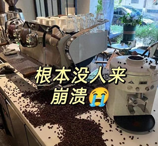 咖啡店创业失败案例_咖啡店创业计划书模板下载_辞职开咖啡店