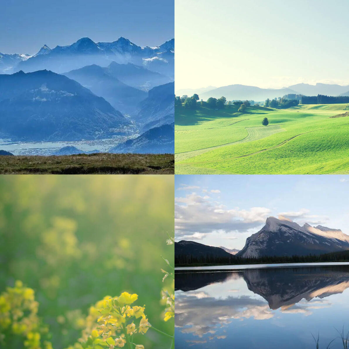 ps拼接四张图片教程_怎么将网页上的小图标合成一个图片_如何用优速图片格式转换器合成四张图片