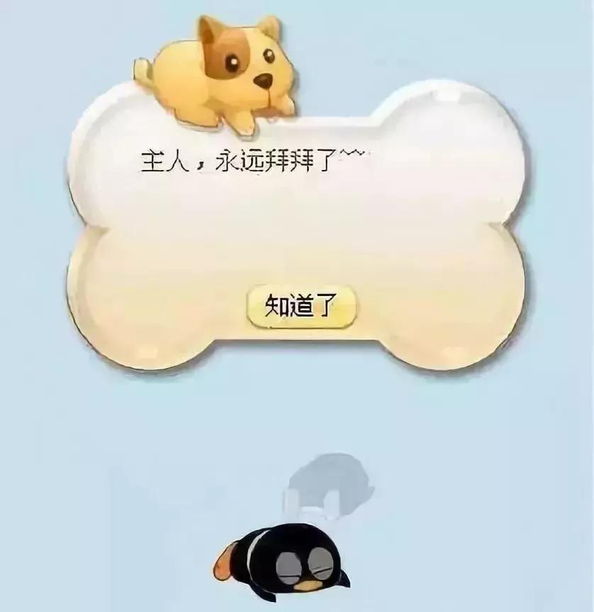 QQ宠物停止运营_怀念QQ宠物青春回忆_qq宠物里的游戏还可以玩吗