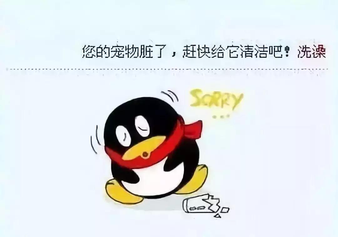 QQ宠物停止运营_qq宠物里的游戏还可以玩吗_怀念QQ宠物青春回忆