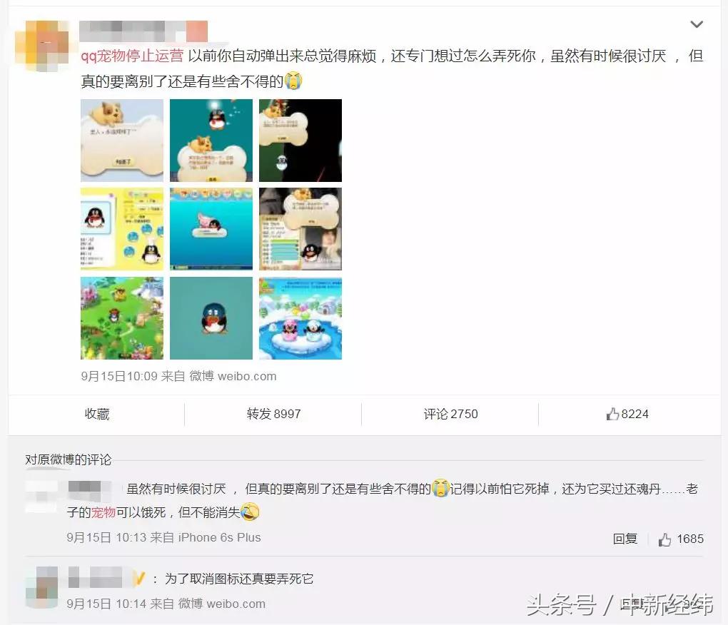 qq宠物停服日期_qq宠物里的游戏还可以玩吗_qq宠物怀旧吧