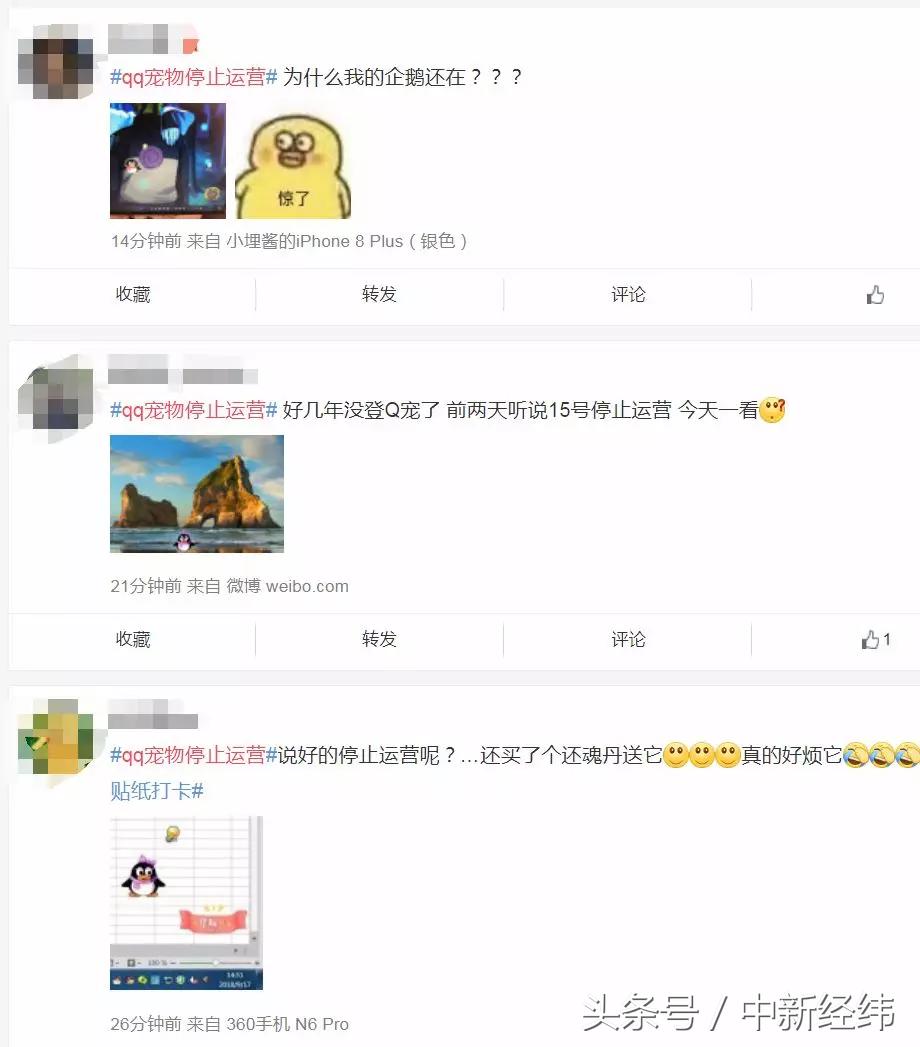 qq宠物停服日期_qq宠物怀旧吧_qq宠物里的游戏还可以玩吗