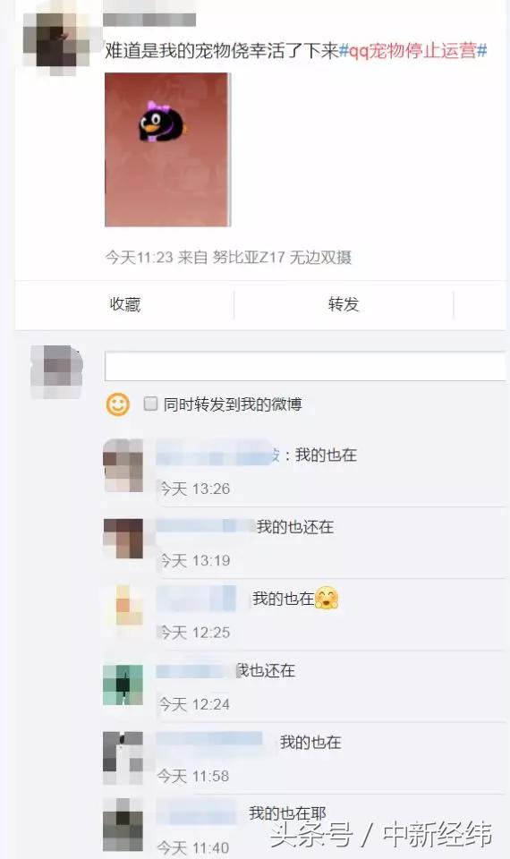 qq宠物怀旧吧_qq宠物里的游戏还可以玩吗_qq宠物停服日期