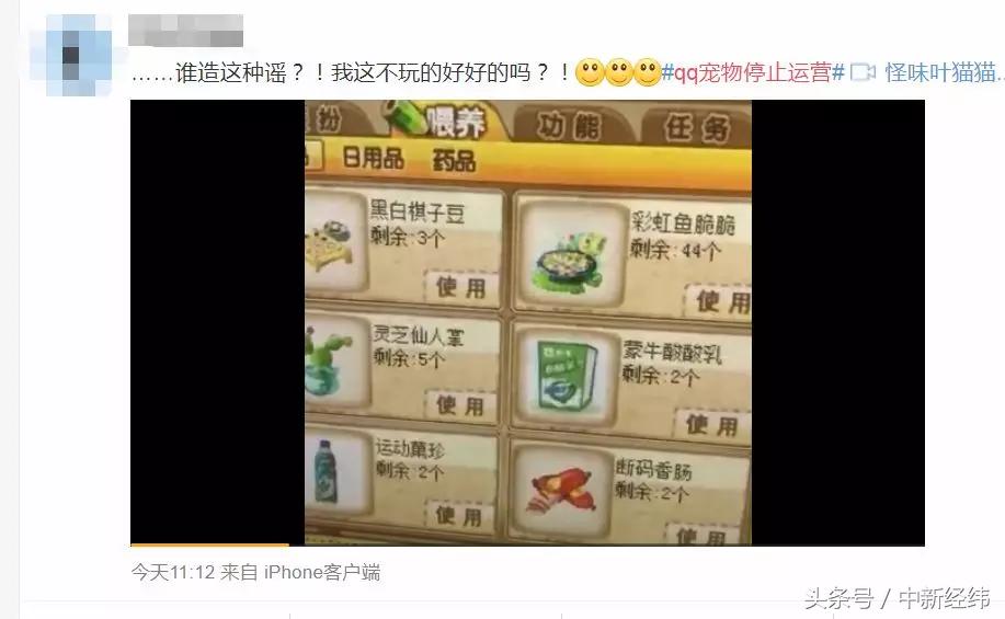 qq宠物怀旧吧_qq宠物里的游戏还可以玩吗_qq宠物停服日期