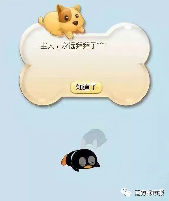 QQ宠物停运时间_qq宠物里的游戏还可以玩吗_QQ宠物回忆杀