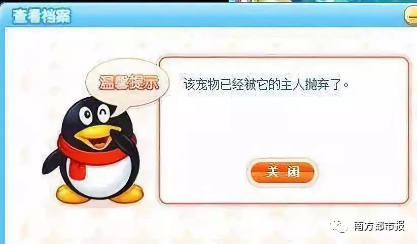 QQ宠物停运时间_QQ宠物回忆杀_qq宠物里的游戏还可以玩吗