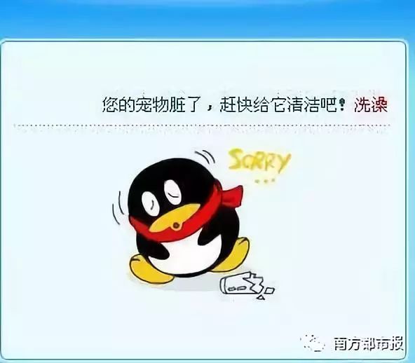 qq宠物里的游戏还可以玩吗_QQ宠物停运时间_QQ宠物回忆杀