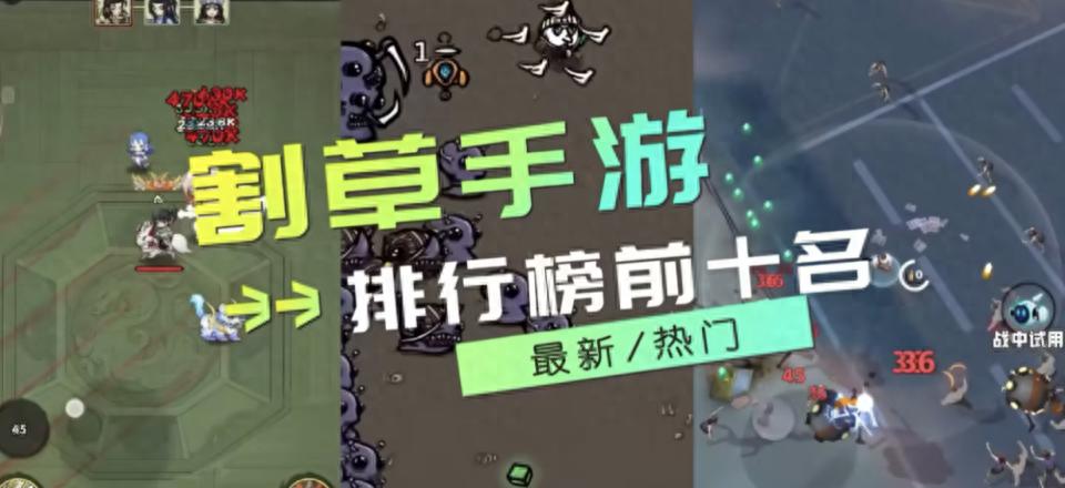 有什么可以联机的手机游戏_真三国无双霸手游推荐_2024年割草手游排行榜前十名