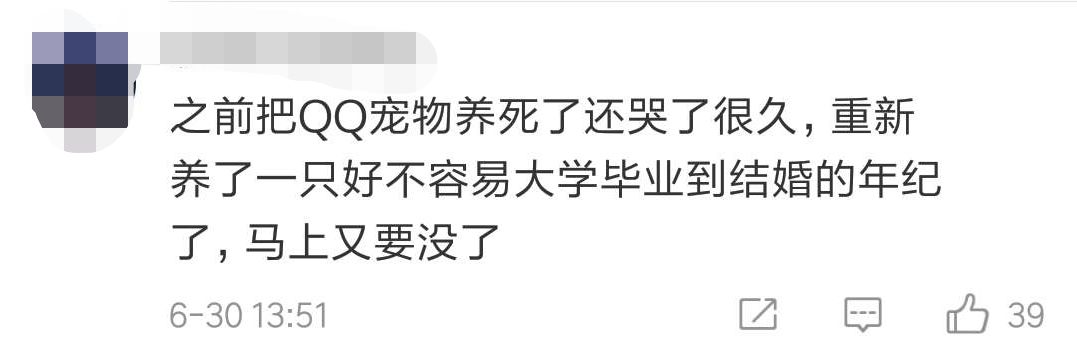 乐斗2停止运营公告_QQ宠物退市时间_qq宠物里的游戏还可以玩吗