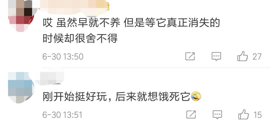 qq宠物里的游戏还可以玩吗_乐斗2停止运营公告_QQ宠物退市时间