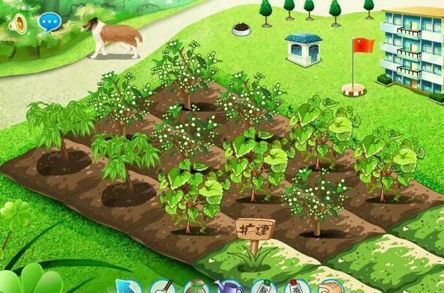 QQ宠物退市时间_qq宠物里的游戏还可以玩吗_乐斗2停止运营公告