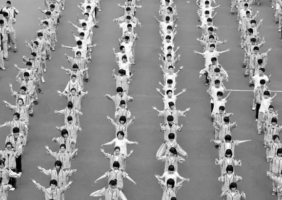 qq宠物里的游戏还可以玩吗_乐斗2停止运营公告_QQ宠物退市时间