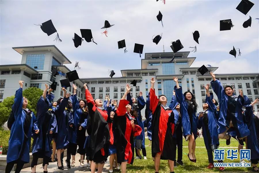 乐斗2停止运营公告_qq宠物里的游戏还可以玩吗_QQ宠物退市时间