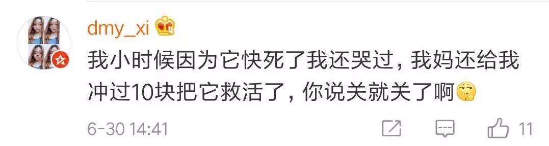 乐斗2停止运营公告_qq宠物里的游戏还可以玩吗_QQ宠物退市时间