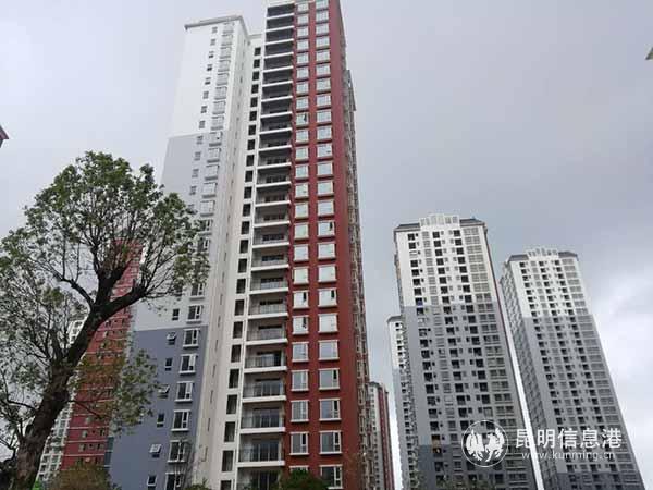 昆明市公租房信息服务平台全新上线 动动手指就能申办