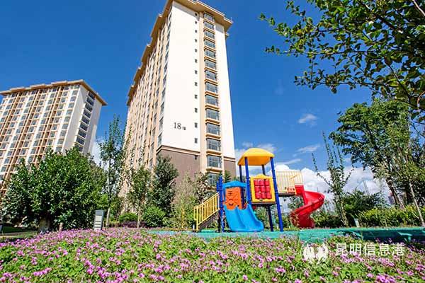 有租房信息的网站_微矩阵云相册在线申请_昆明市公租房微网站信息便民服务