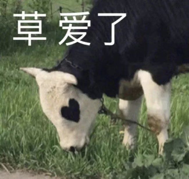 360安全卫士偷拍检测_微信小程序偷拍检测_网络摄像头安装图解用