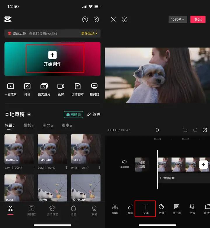 可以挡住字幕的播放器_PotPlayer视频字幕添加_迅捷视频转换器