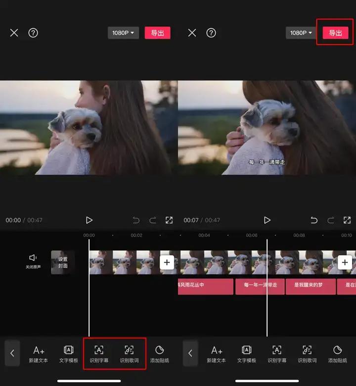 迅捷视频转换器_可以挡住字幕的播放器_PotPlayer视频字幕添加
