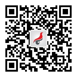 学信网验证码老是错误_学信网账号找回密码_学信网用户名找回方法