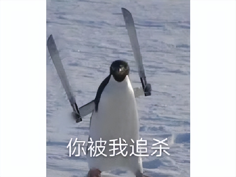 剑灵螺旋迷宫副本攻略_剑灵不加糖游戏情缘故事_剑灵搜索好友搜的是游戏名还是