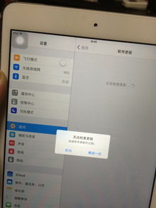 无法检查iPhone更新？轻松修复方法
