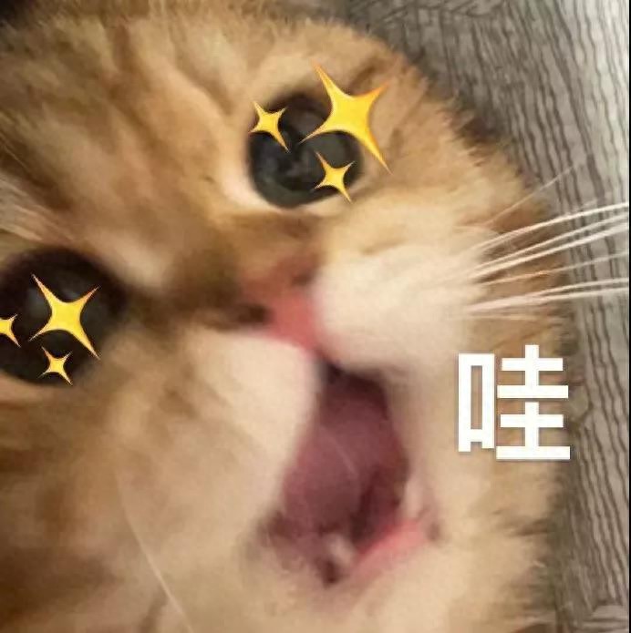 qq群聊对话生成器在线制作_微信红包封面制作教程_个人定制红包封面方法