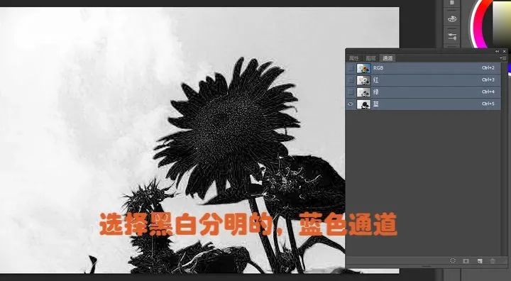 ps打开的图片是索引_PS通道抠图教程_新手抠图软件推荐